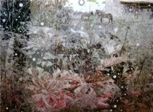 3_20110202_1694837362_original