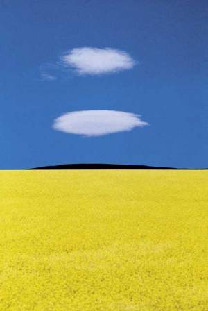 1_2_20120206_1805962118_original