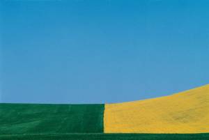 1_4_20120206_1697498788_original