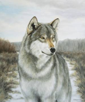 «Вожак», 2012 г., холст, масло, 70х60