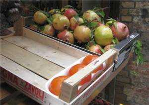 _2010_18_20110209_1515271671_original