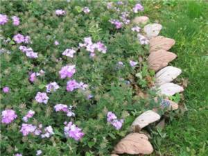 _2010_17_20110209_1104786013_original