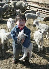 александр власов