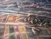 _11_20110214_1312084190_original