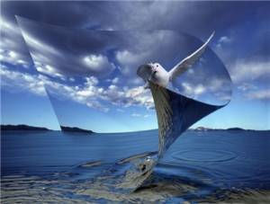 ryszard_horowitz_20110211_1660967563_original