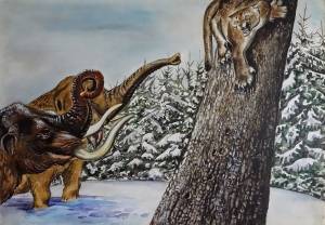 h2_3_900_20150317_1428988368_original