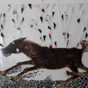 20180806_111640_20180821_1340897176_original_original