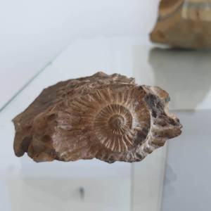 20181017_135120_20181203_1938279339_original_original