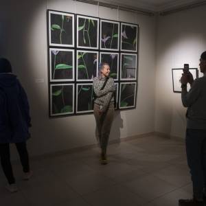 _dsc2047_20191008_2023570778_original_original