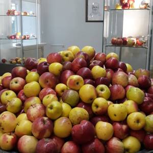 19dd5309-fa48-49d3-ba68-bac304622250_20191205_1530070823_original_original