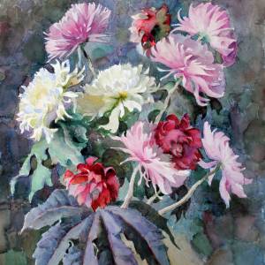 dsc_0127_20200312_1211807774_original_original