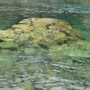 3_-_20240214_1819468610_original_original