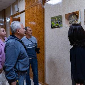 06_original_original